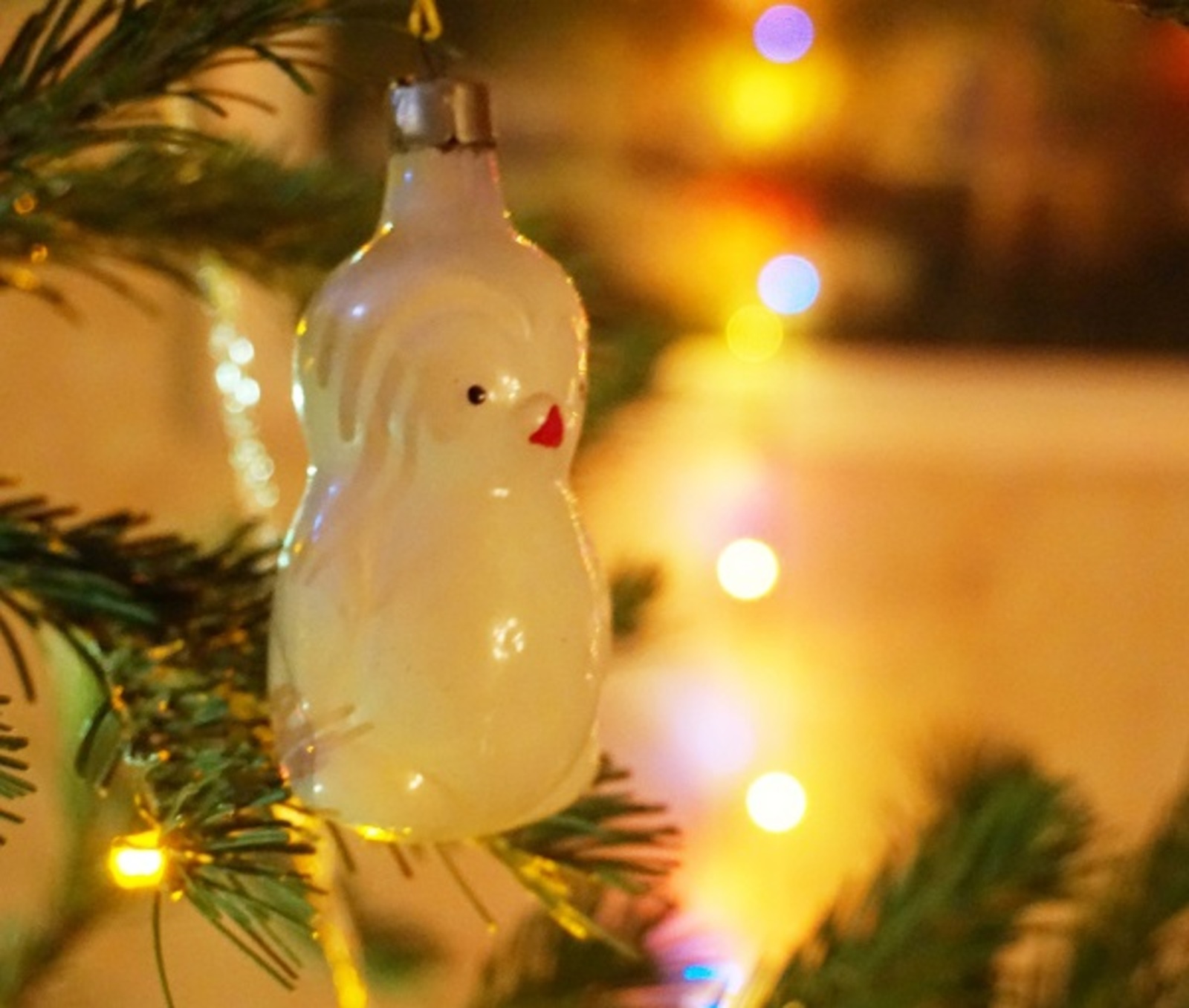 Фото предоставлено Анатолием Чечухой.