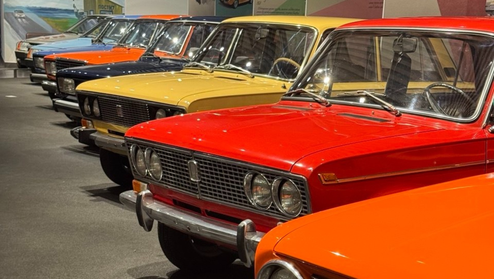 Елены Колоколовой.