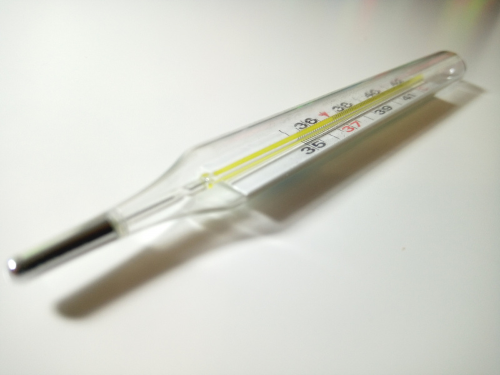 Фото Васили Саитовой.