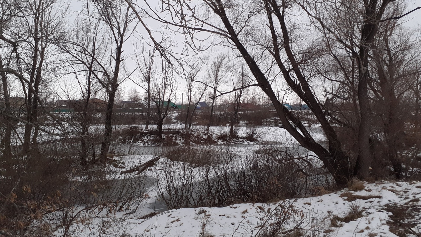 Владимира Шакиева. «Общественная электронная газета».