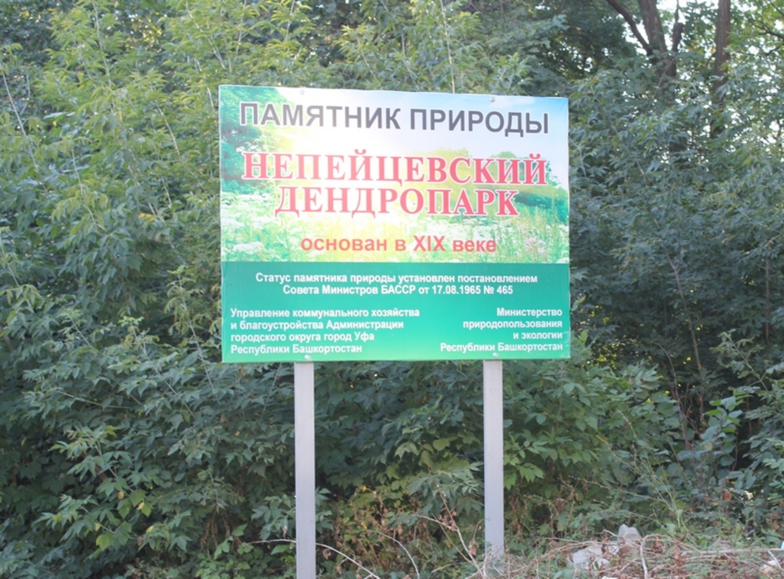 Фото автора.