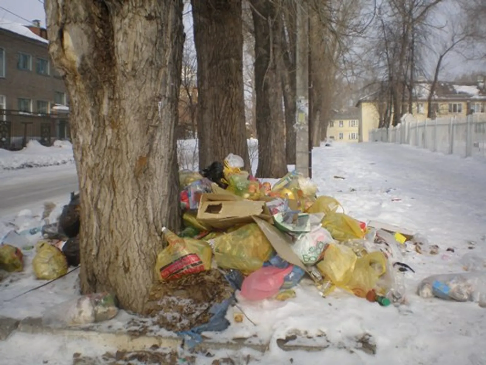 Фото автора.