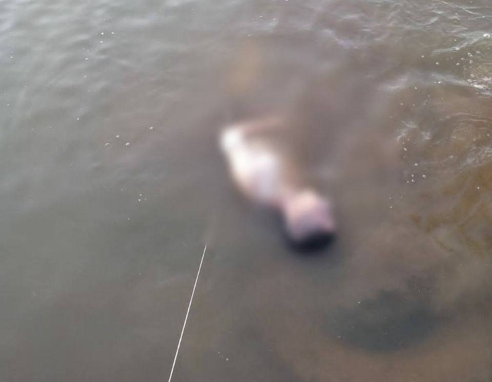 ГУ МЧС РФ по РБ.