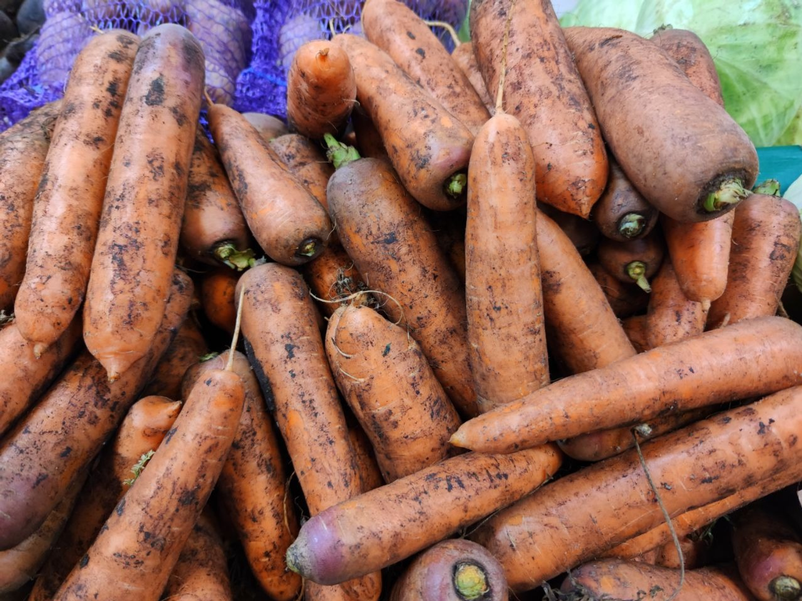 Дарьи Святохиной.