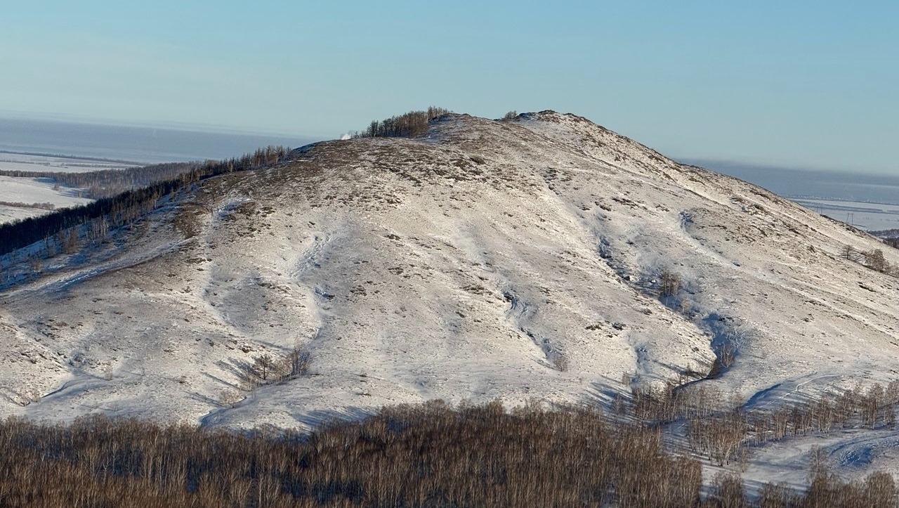 Елены Колоколовой. «Общественная электронная газета».