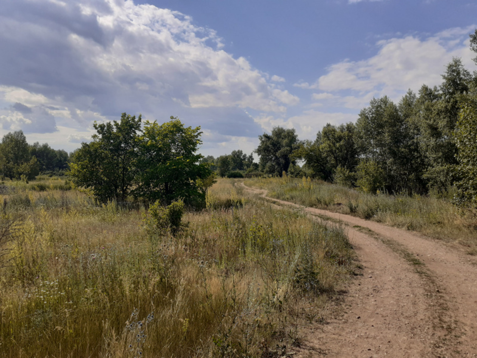 Фото автора.