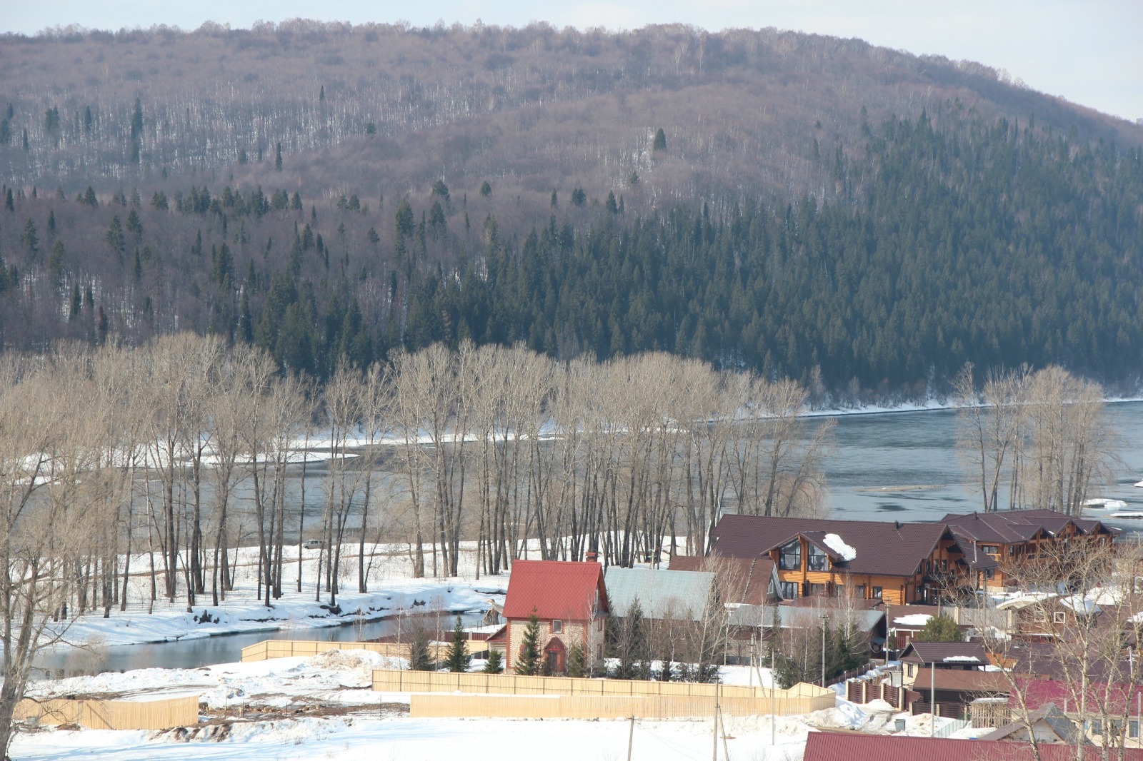 Евгении Сюткиной. «Общественная электронная газета».