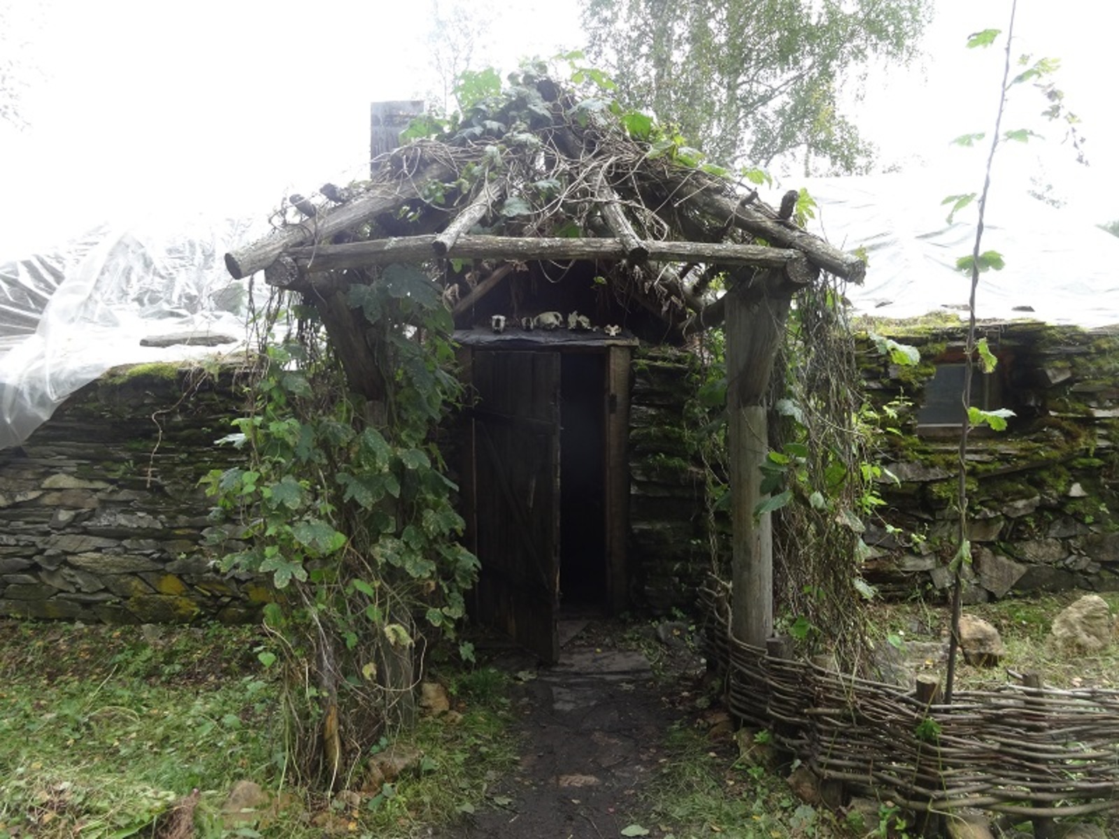 Фото автора.