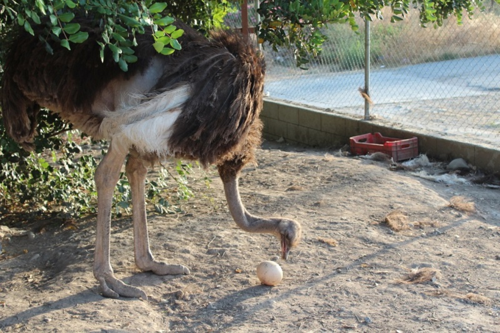 Фото автора.