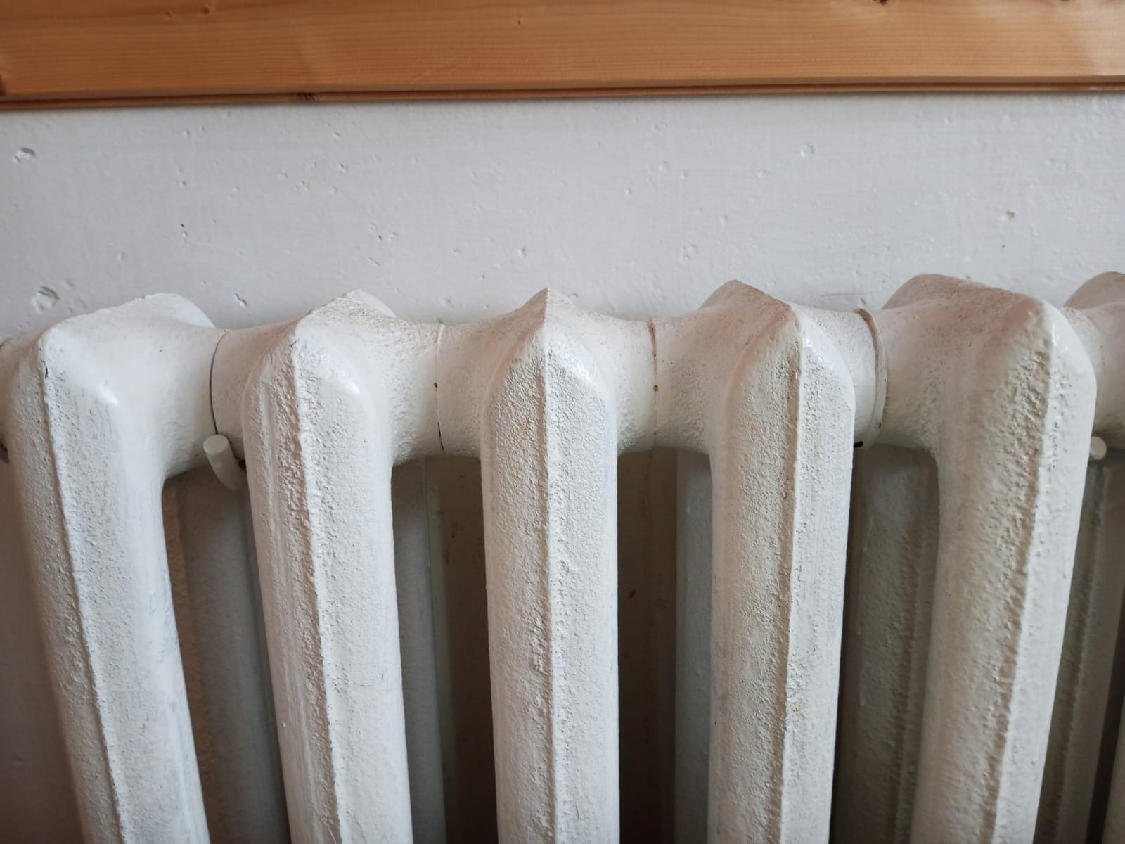 Евгении Сюткиной.