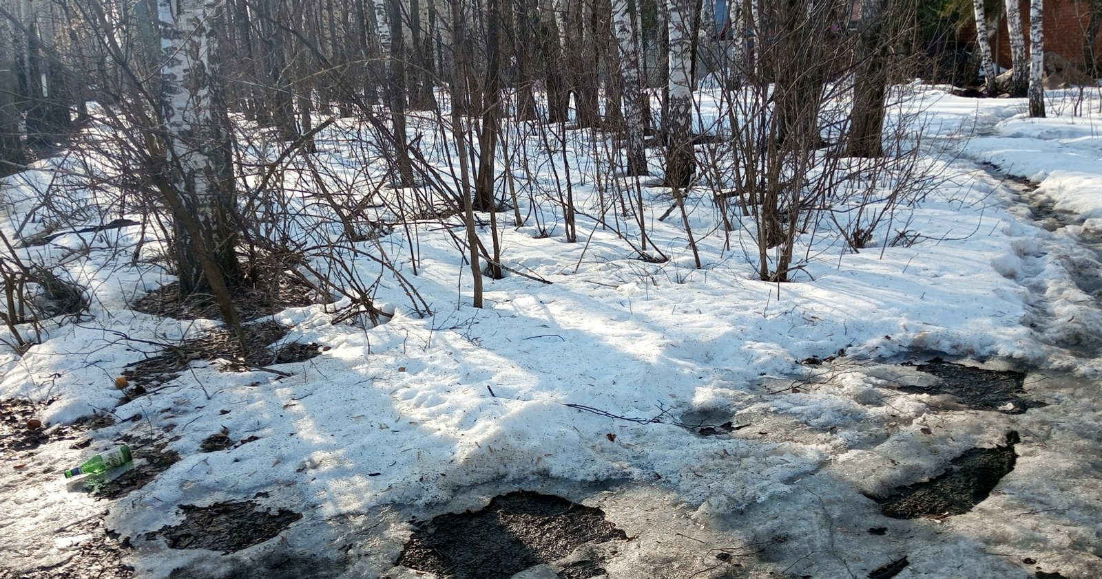 Евгении Сюткиной. «Общественная электронная газета».