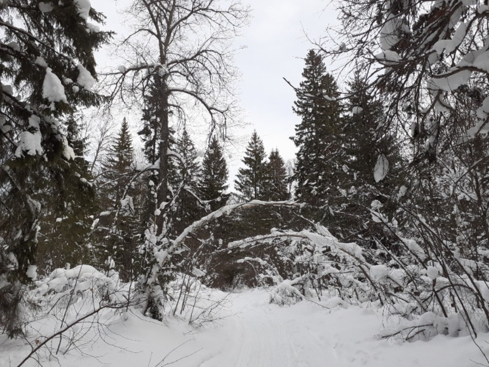 Владимира Шакиева.