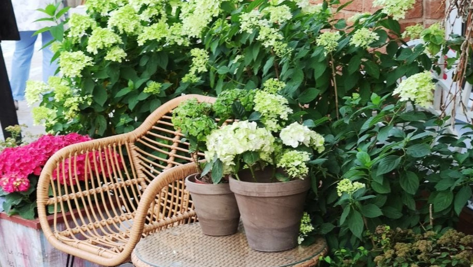 Дарьи Святохиной.