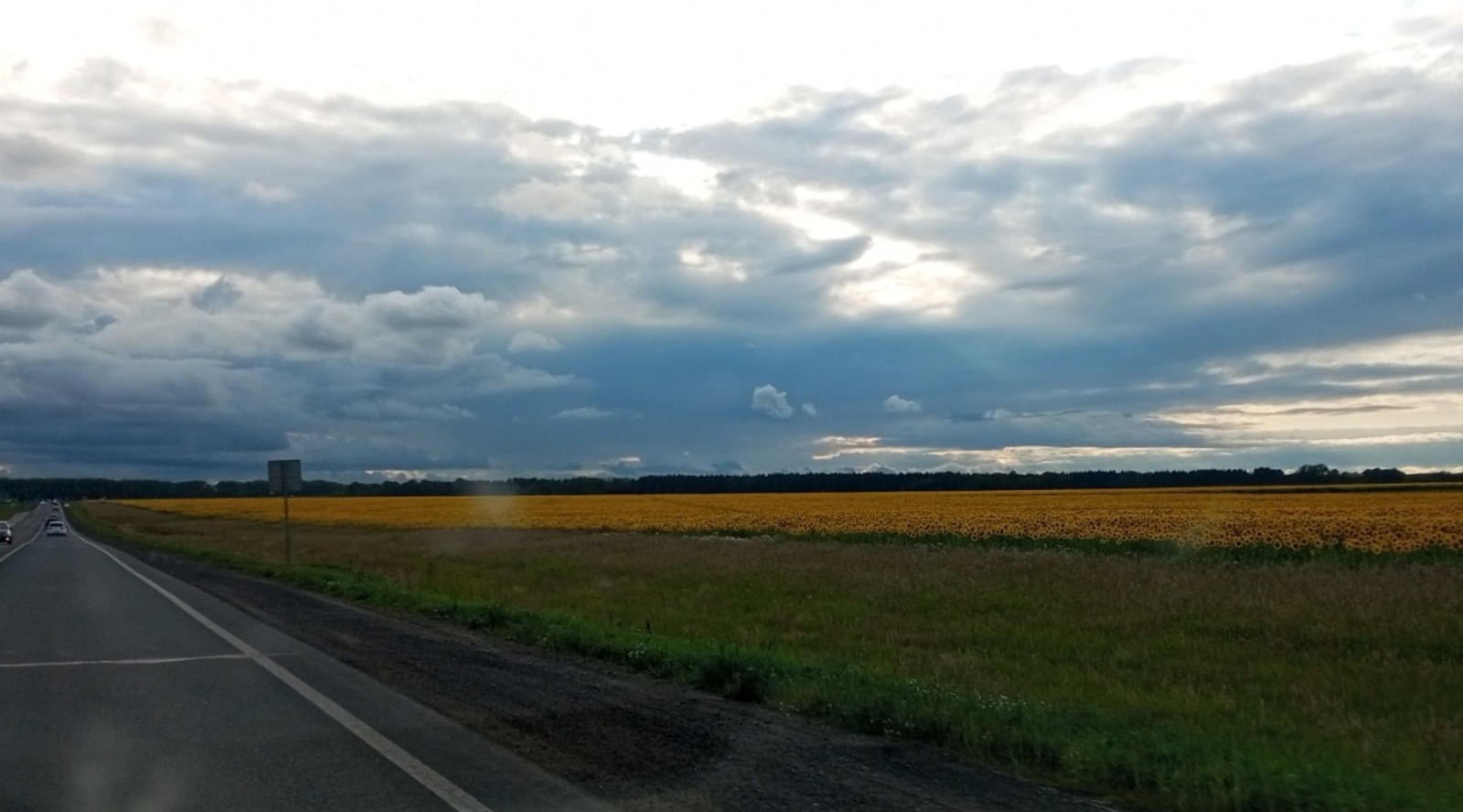 Евгении Сюткиной.