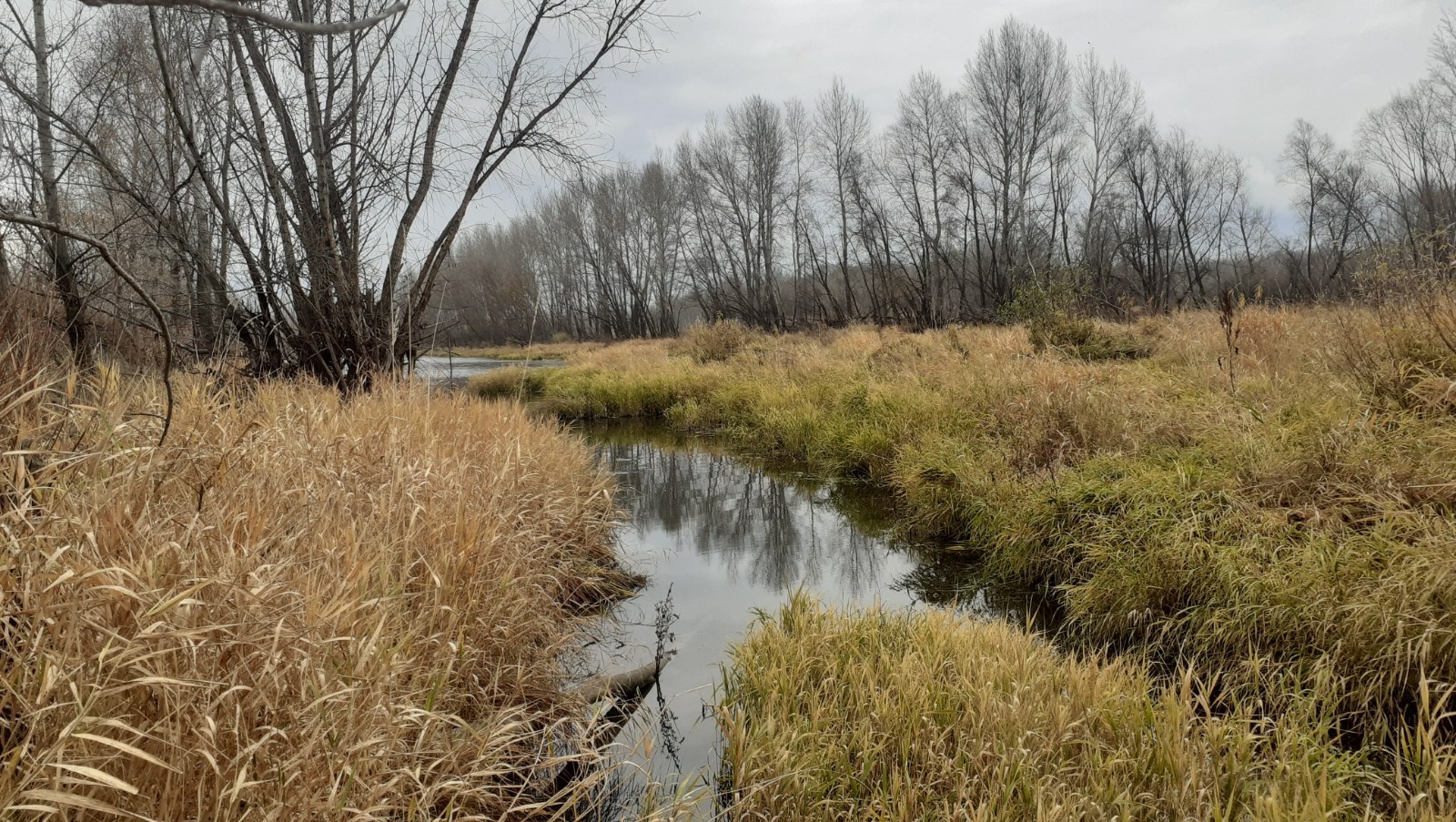 Владимира Шакиева. "Общественная электронная газета".