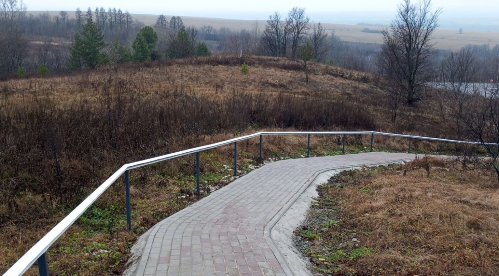 Евгении Сюткиной. «Общественная электронная газета».