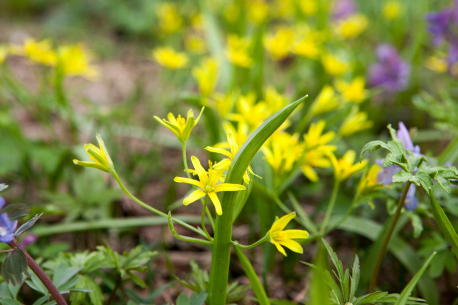 Фото Евгении Сюткиной.