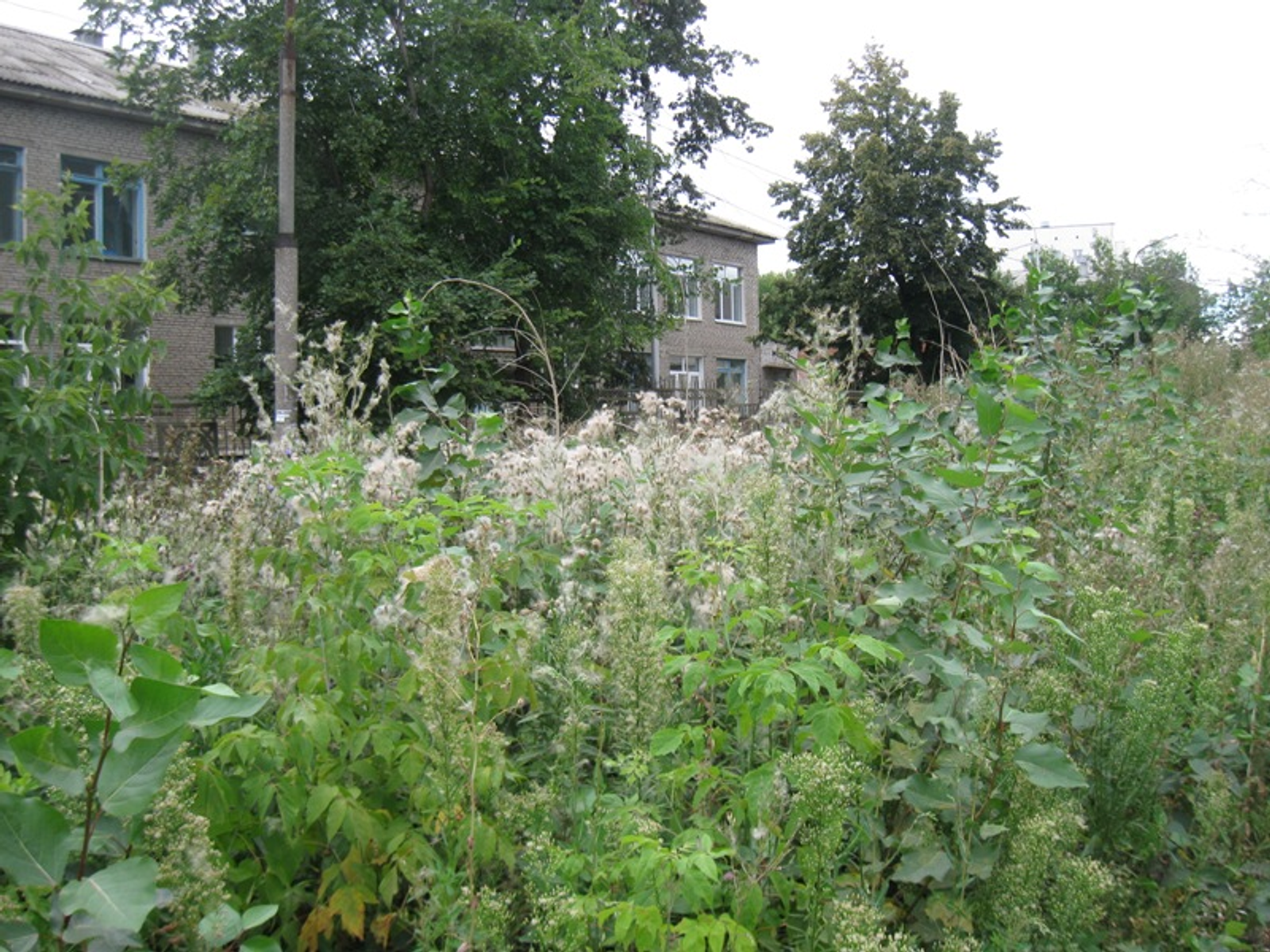 Фото автора.