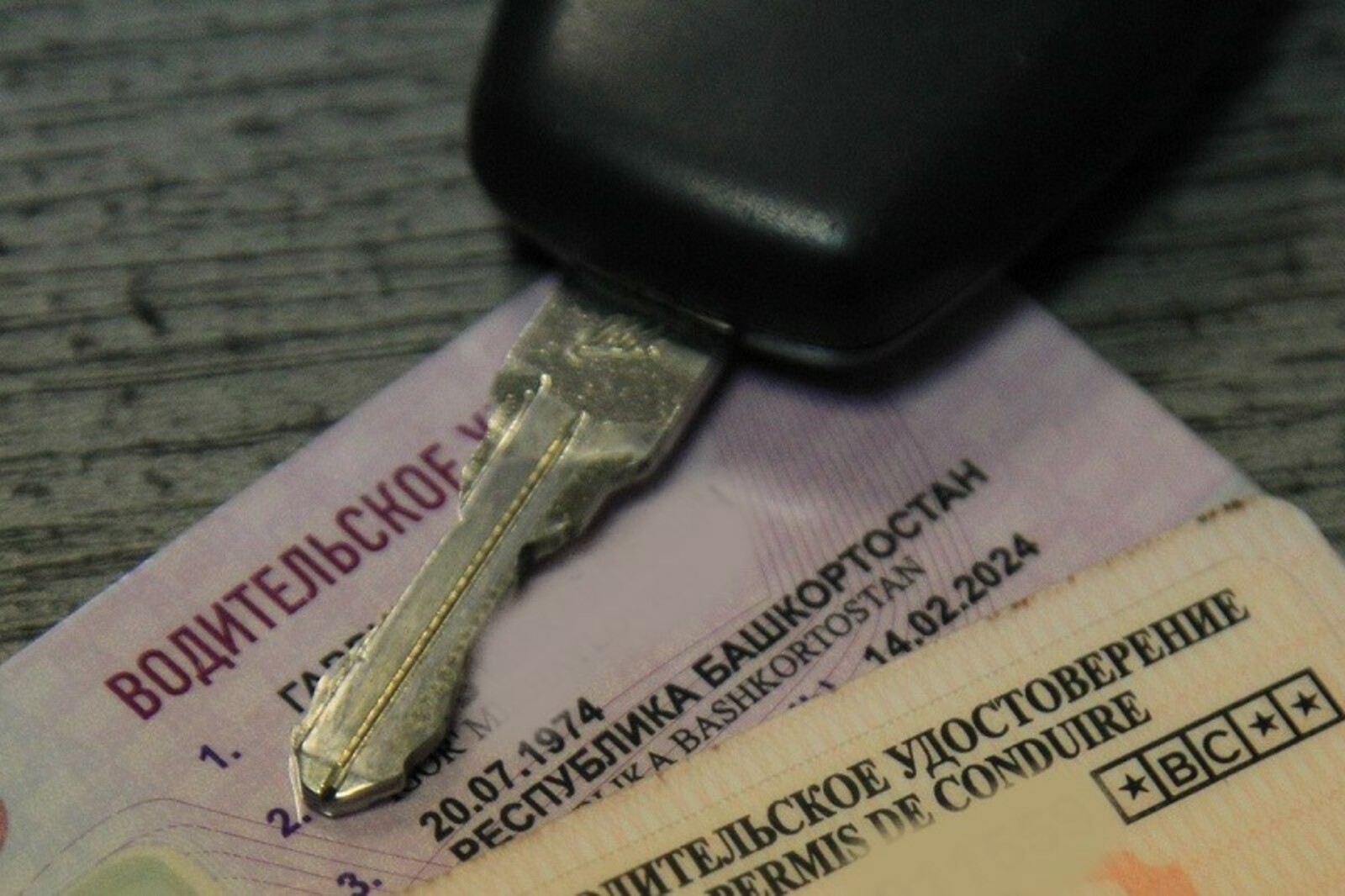 Фото Олега Яровикова.