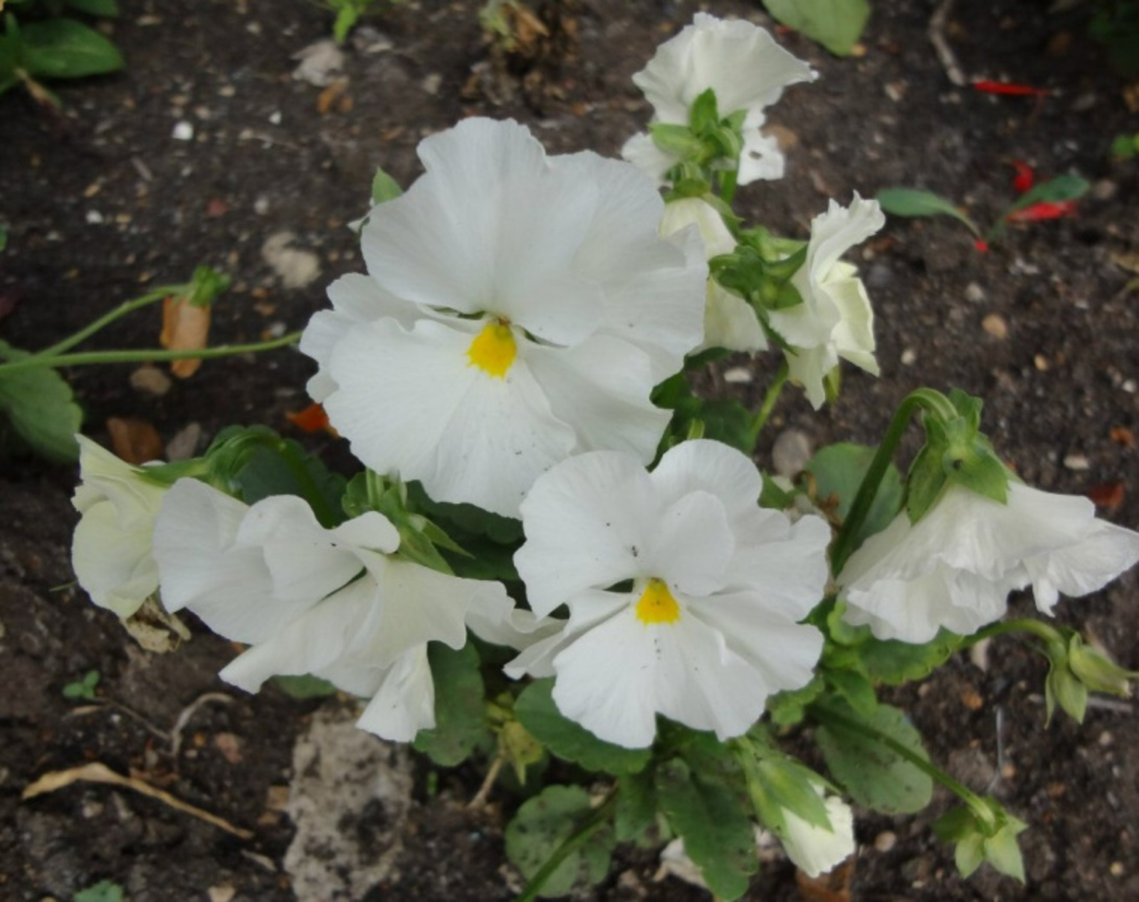 Фото Васили Саитовой.