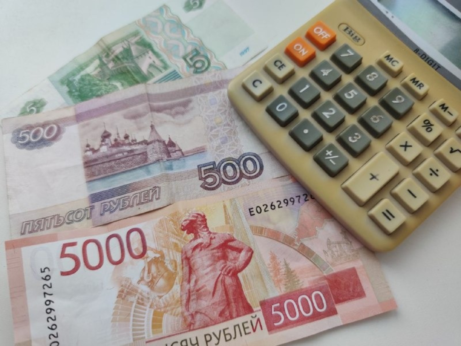 Дарьи Святохиной. «Общественная электронная газета».