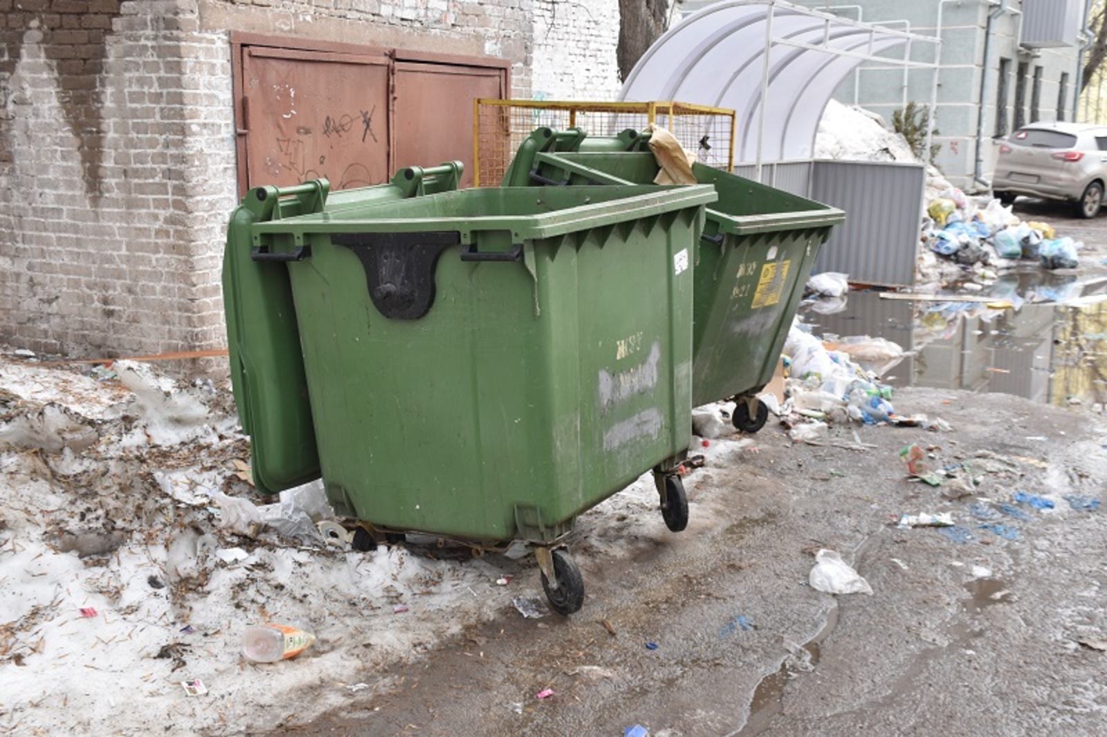 Фото Елены Колоколовой.