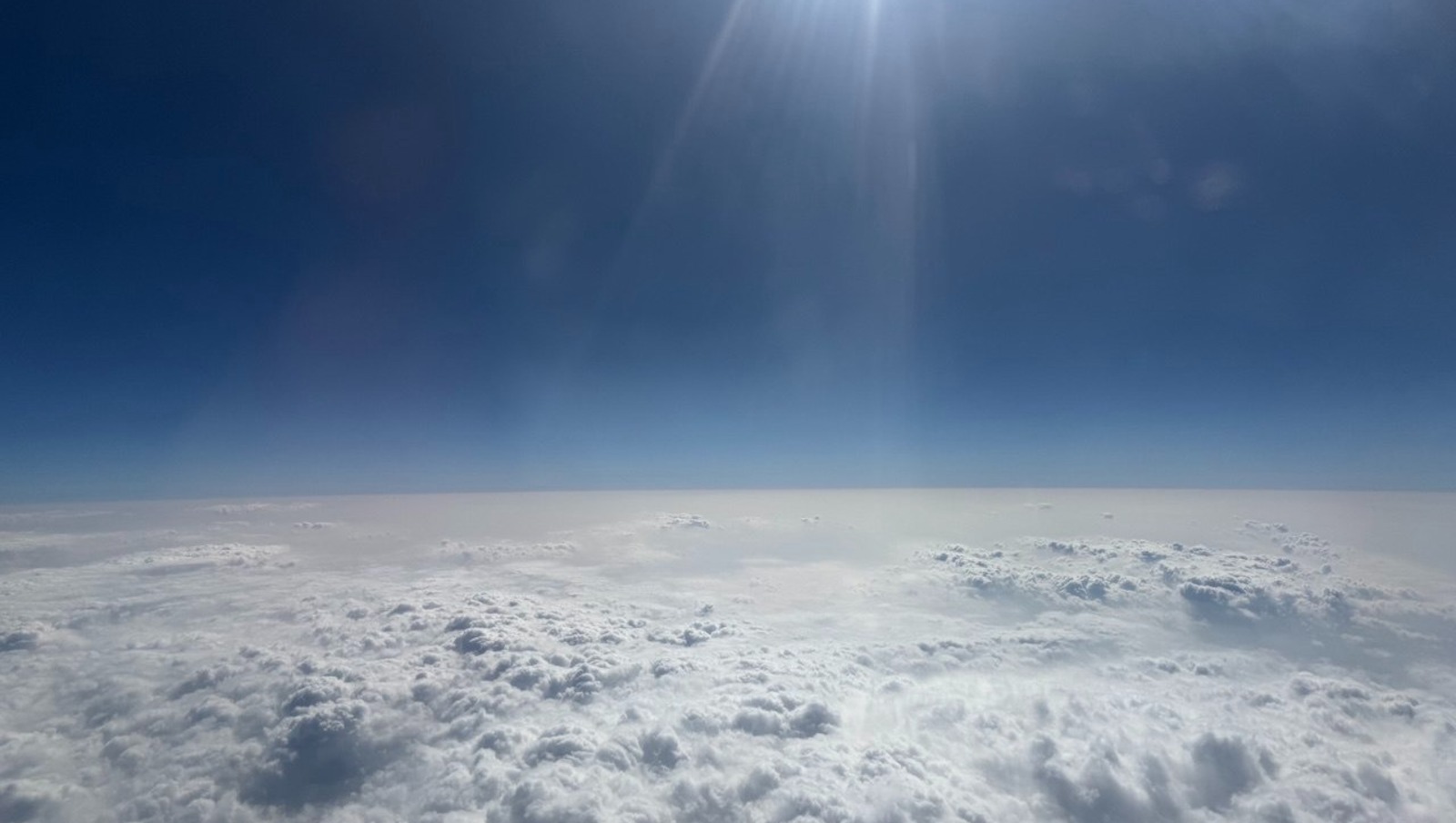 Елены Колоколовой.