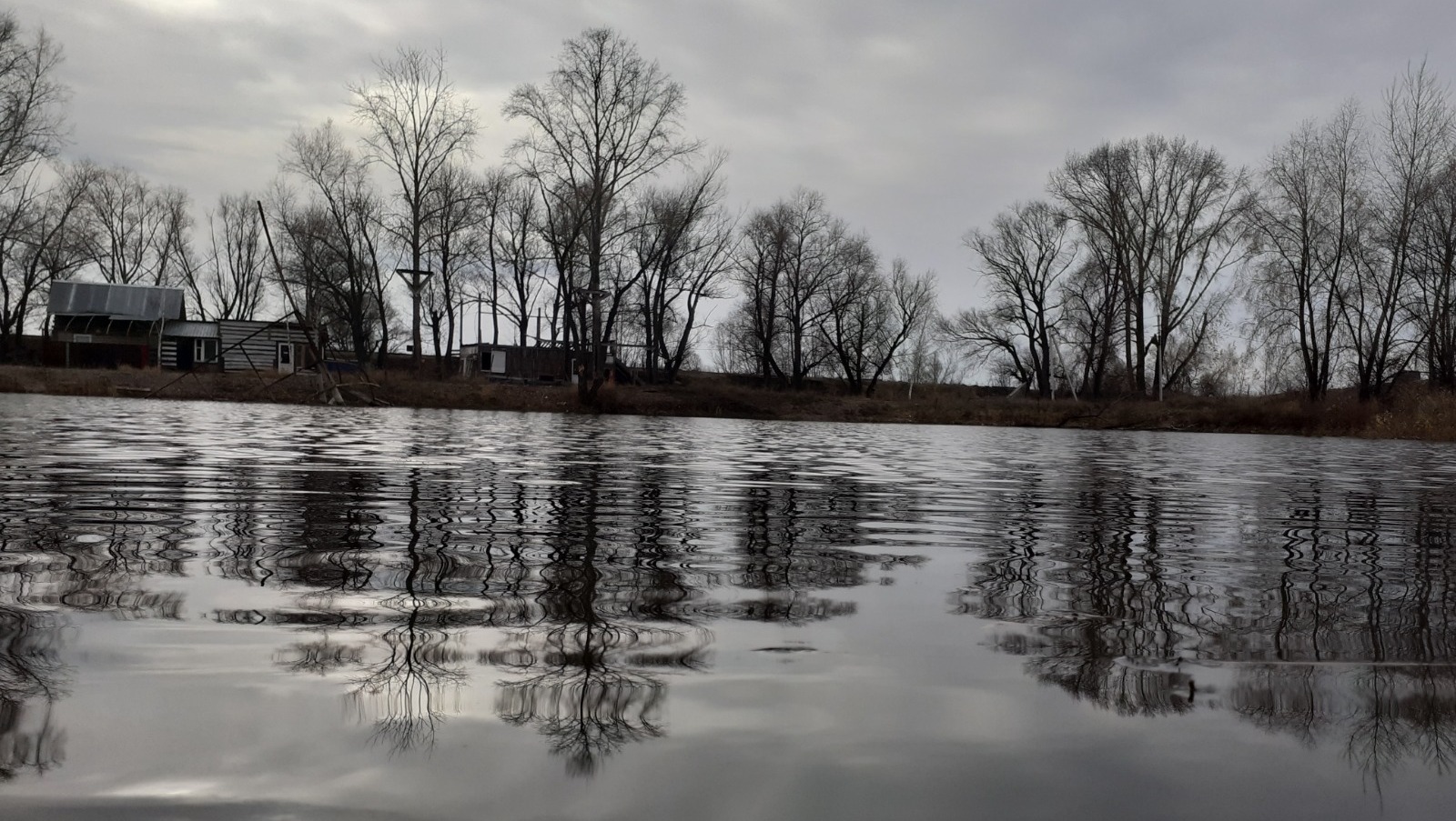 Владимира Шакиева.