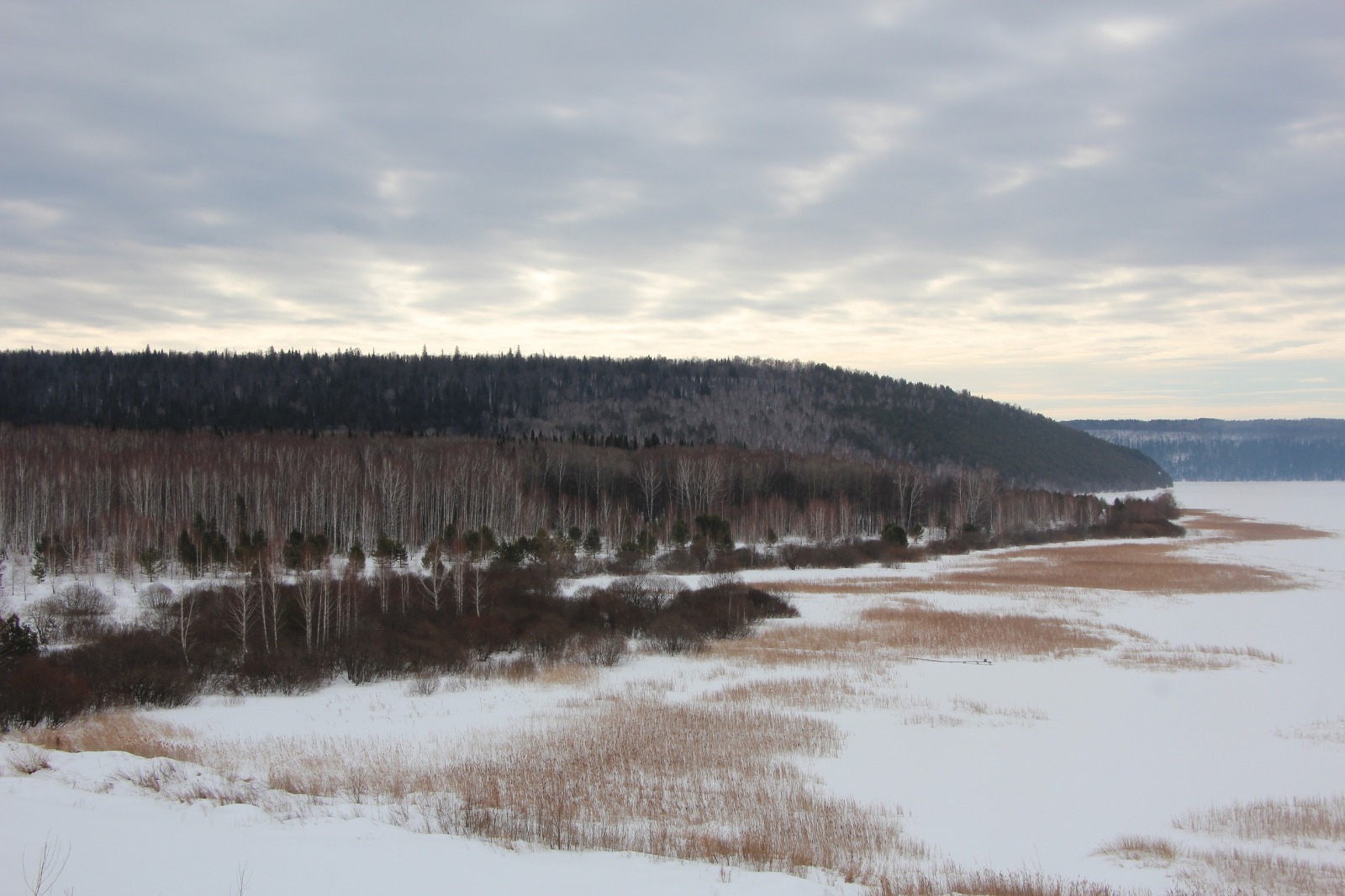 Евгении Сюткиной. «Общественная электронная газета».