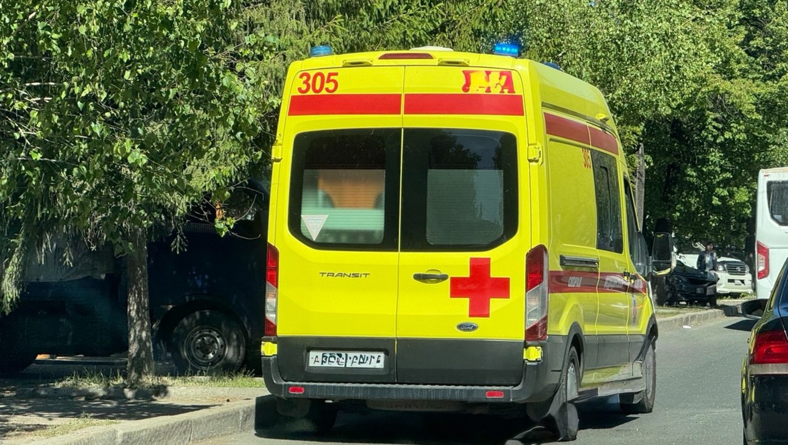 Елены Колоколовой.