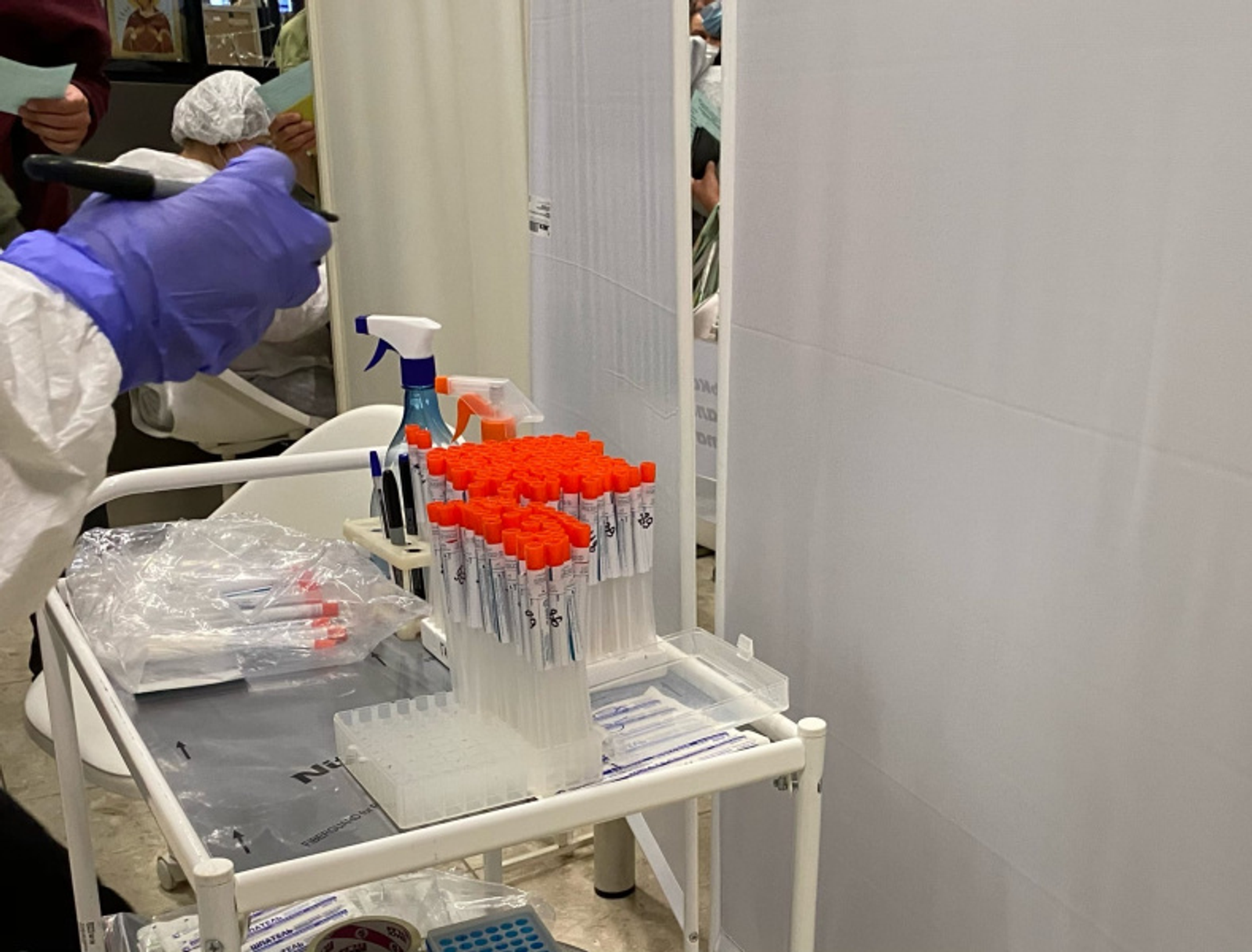 Фото автора.