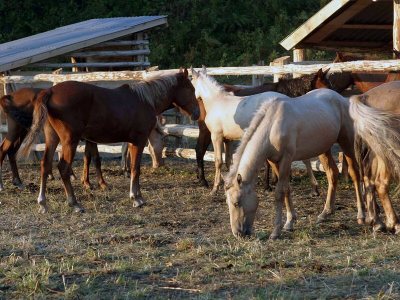 Фото Андрея Старостина.