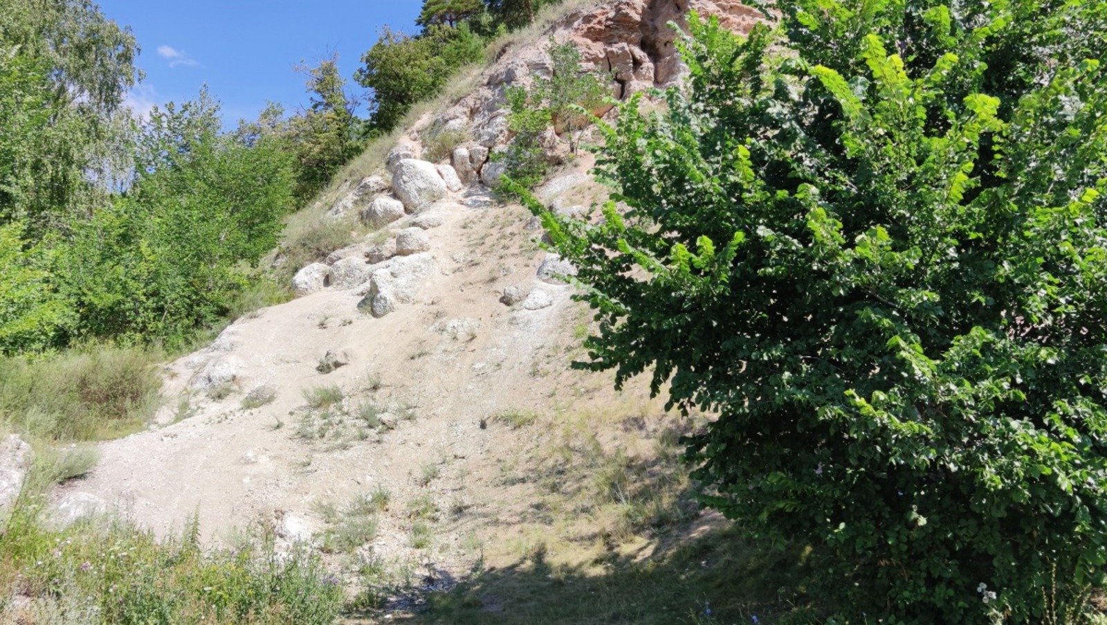 Дарьи Святохиной.