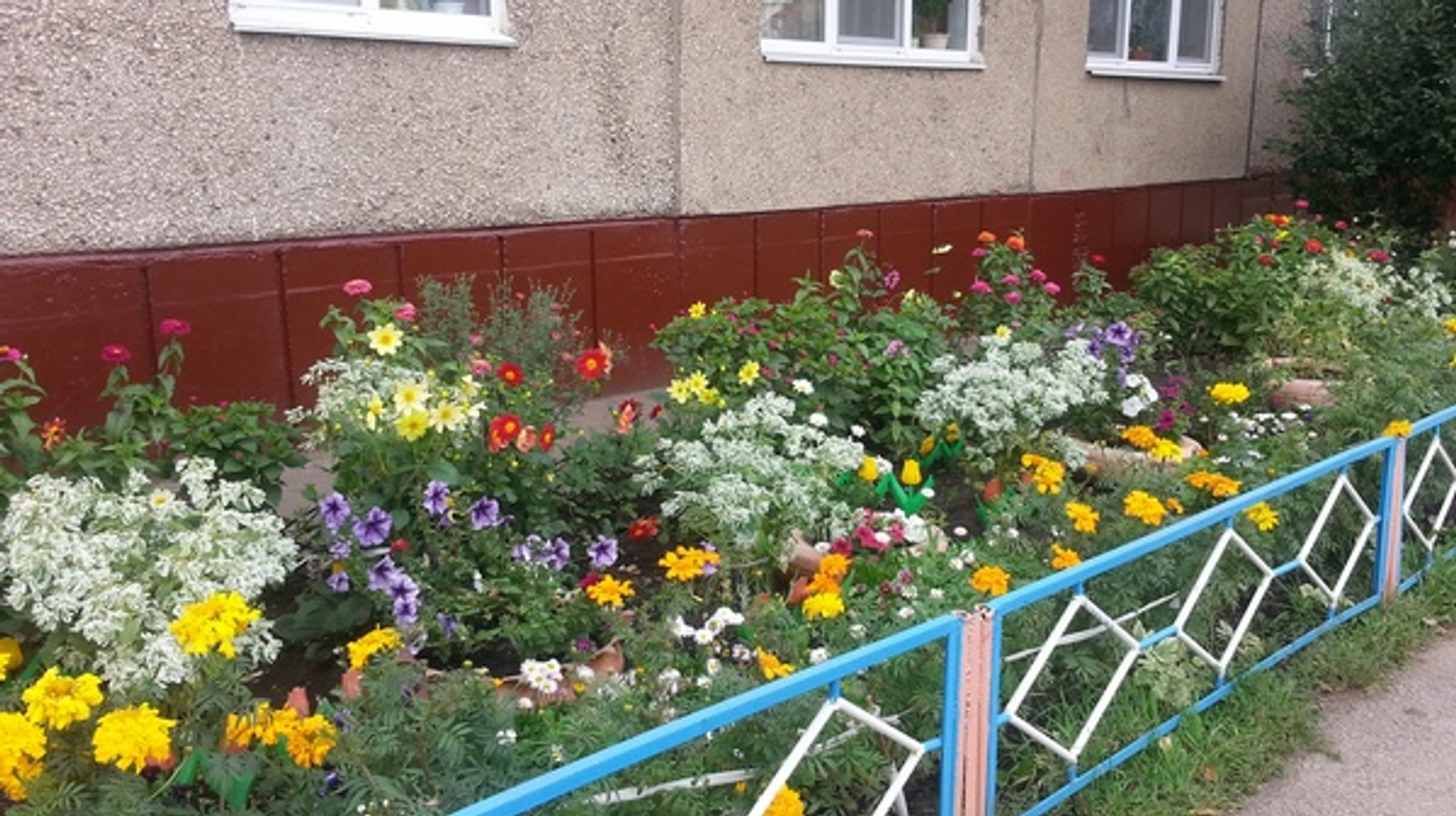 Фото автора.