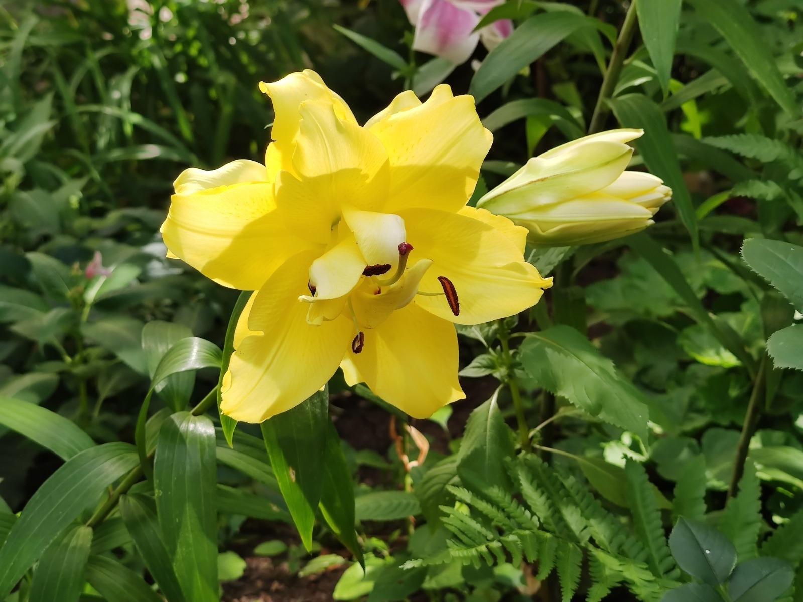 Дарьи Святохиной.