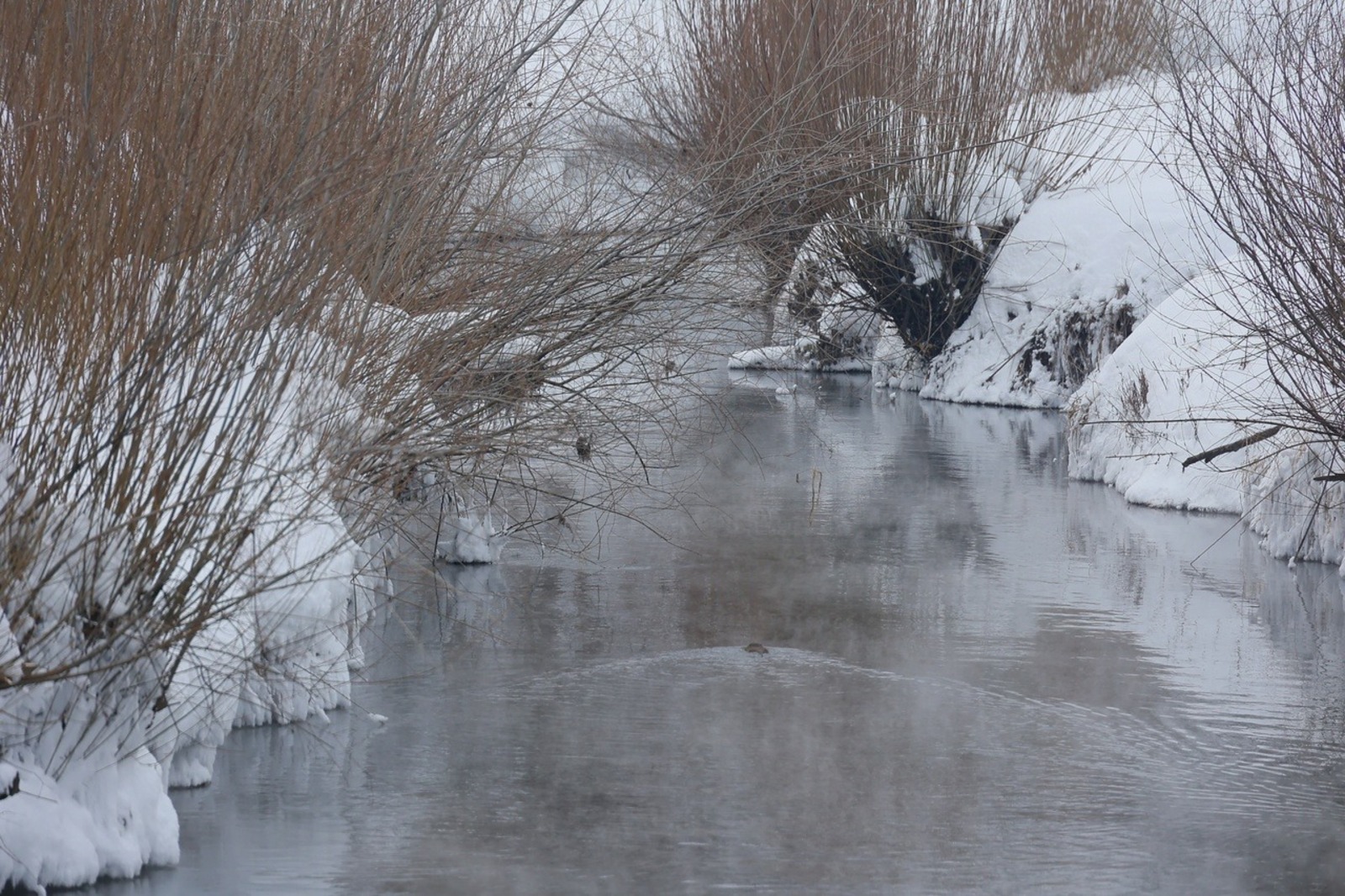 Евгении Сюткиной.