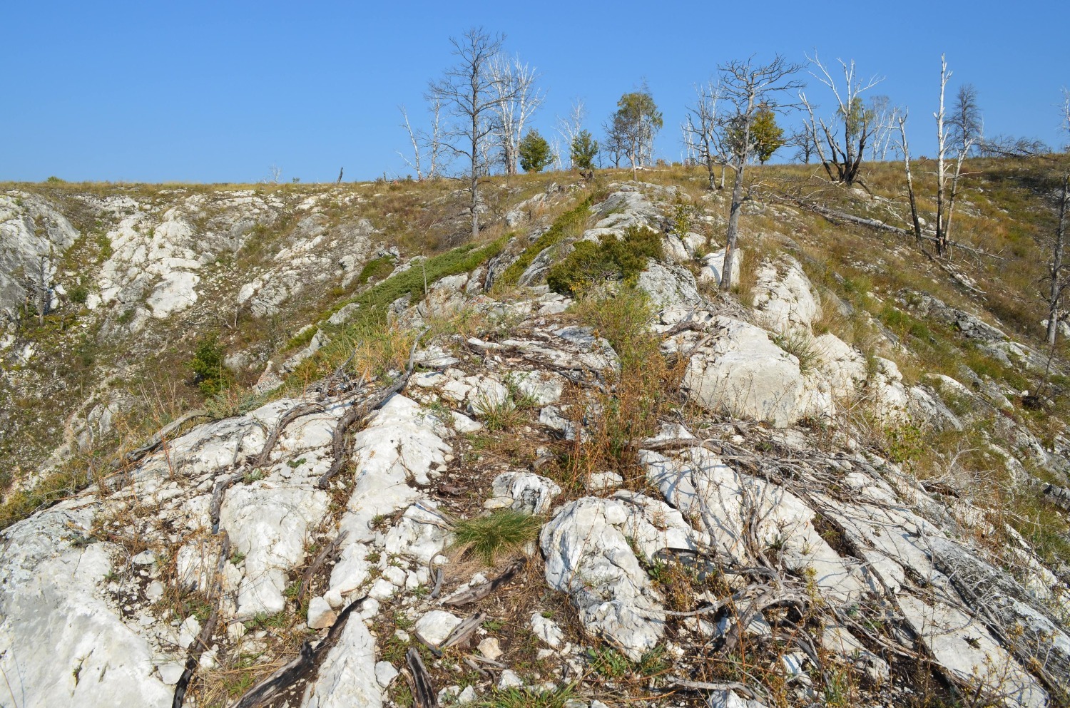 Владимира Шакиева.