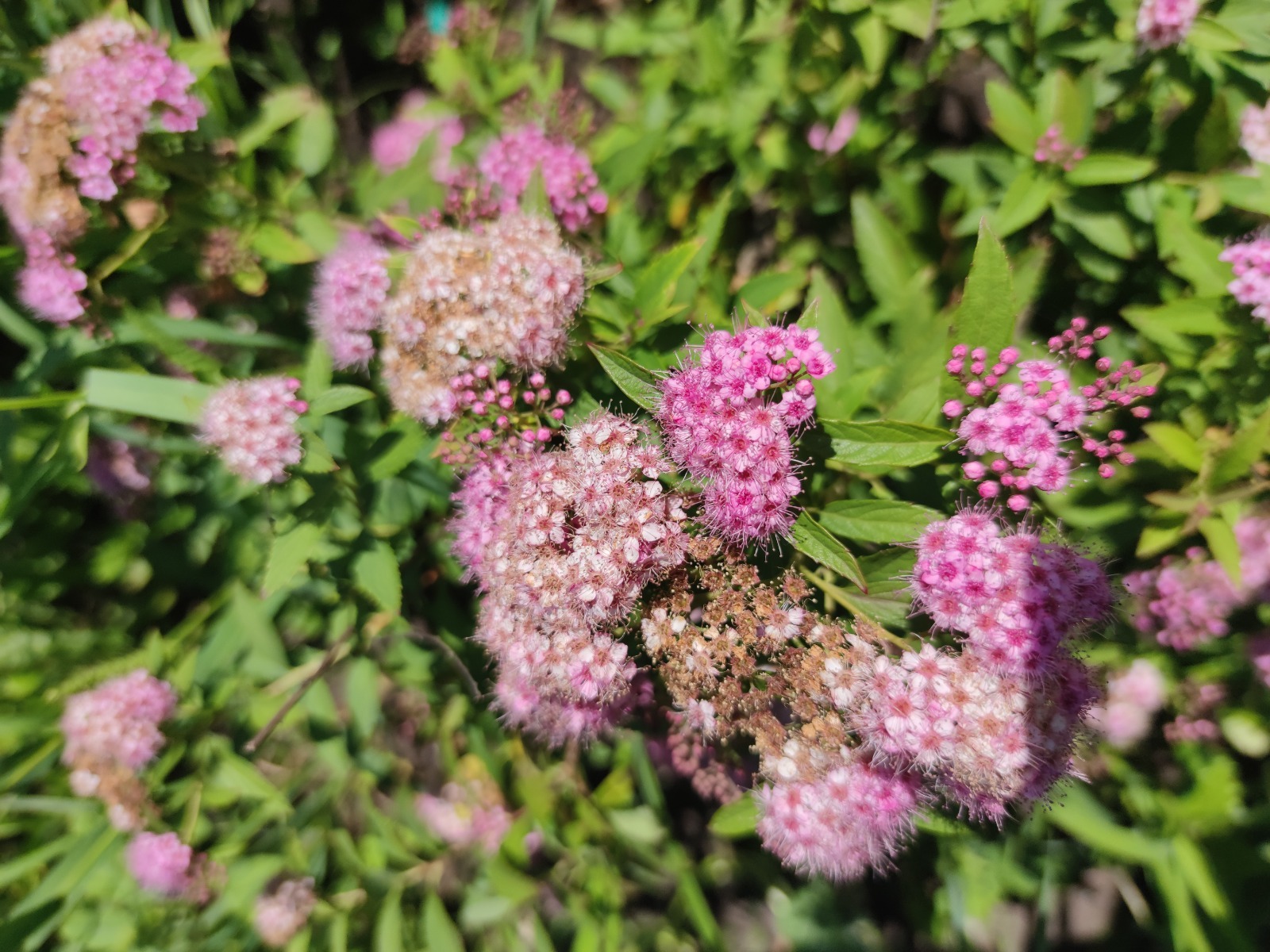 Дарьи Святохиной.