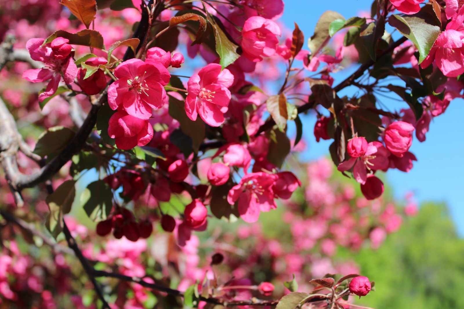 Дарьи Святохиной.
