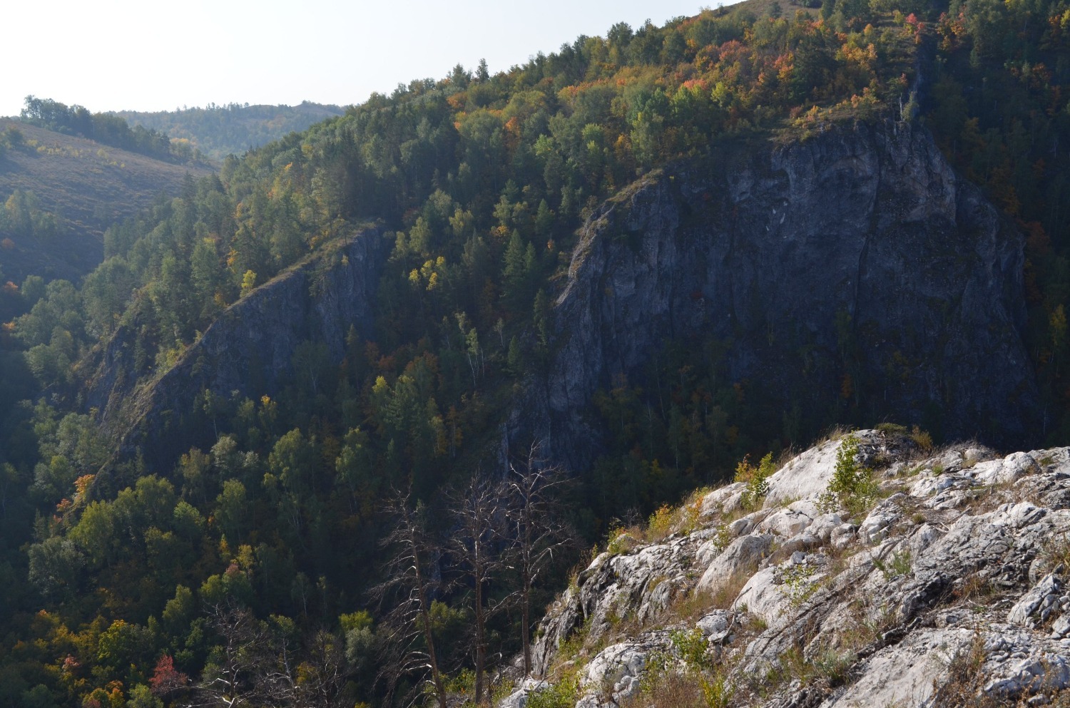Владимира Шакиева.