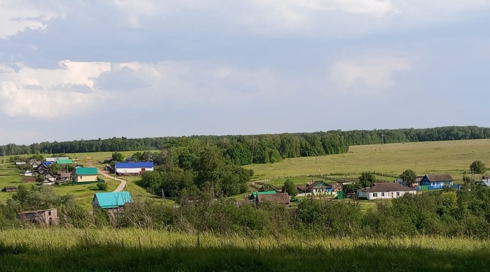 Евгении Сюткиной.