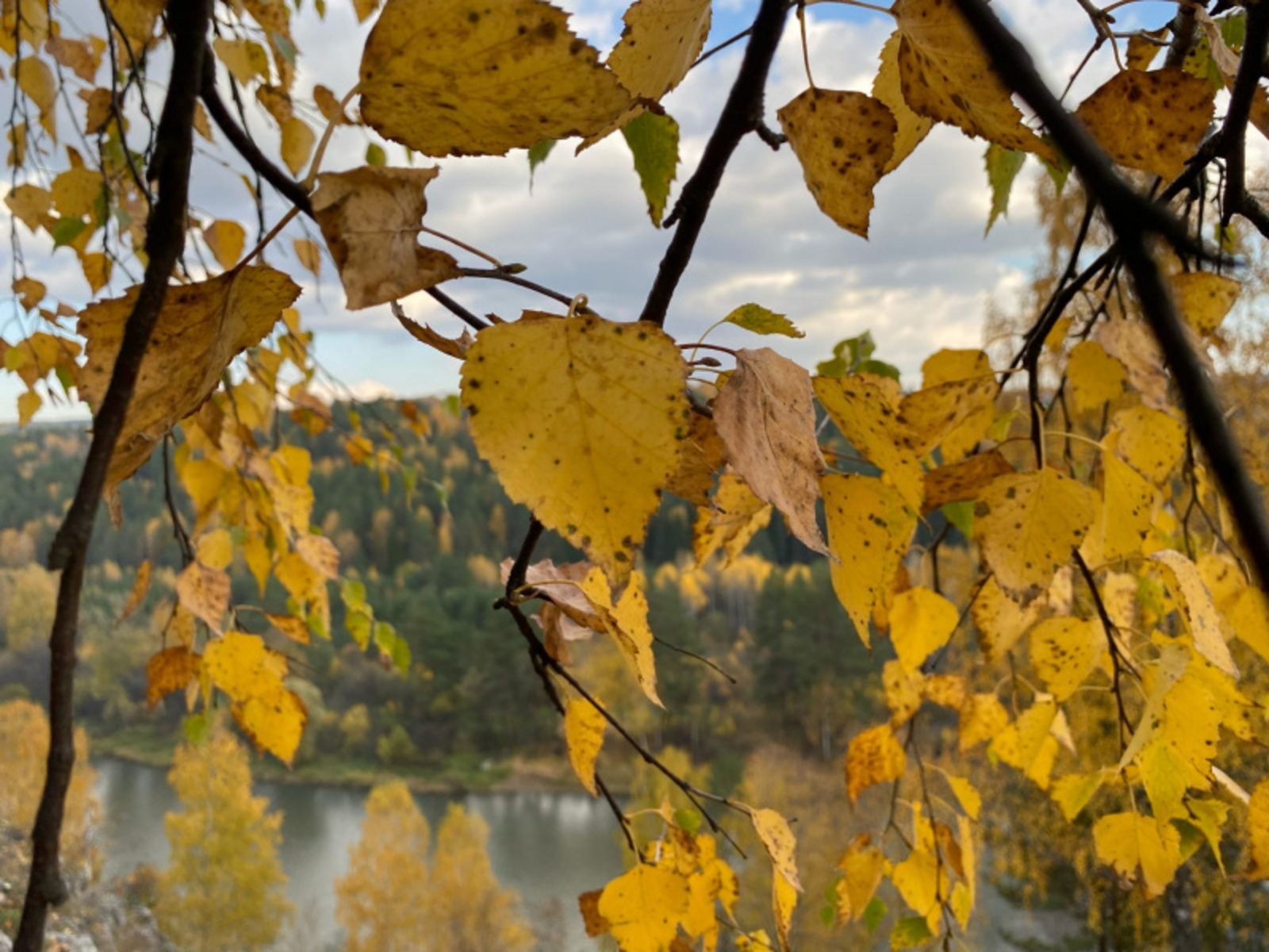 Фото автора.