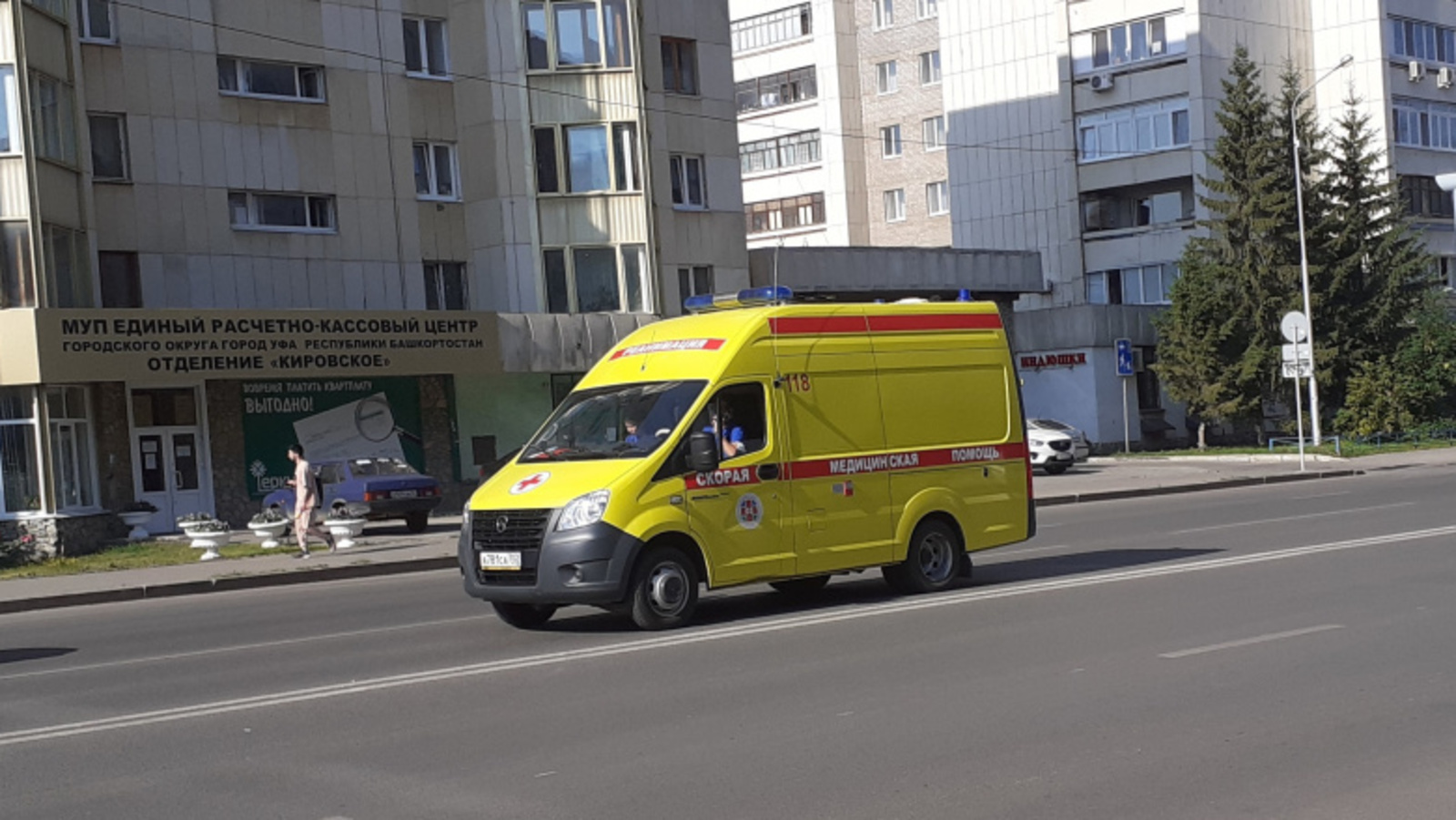 Фото автора.