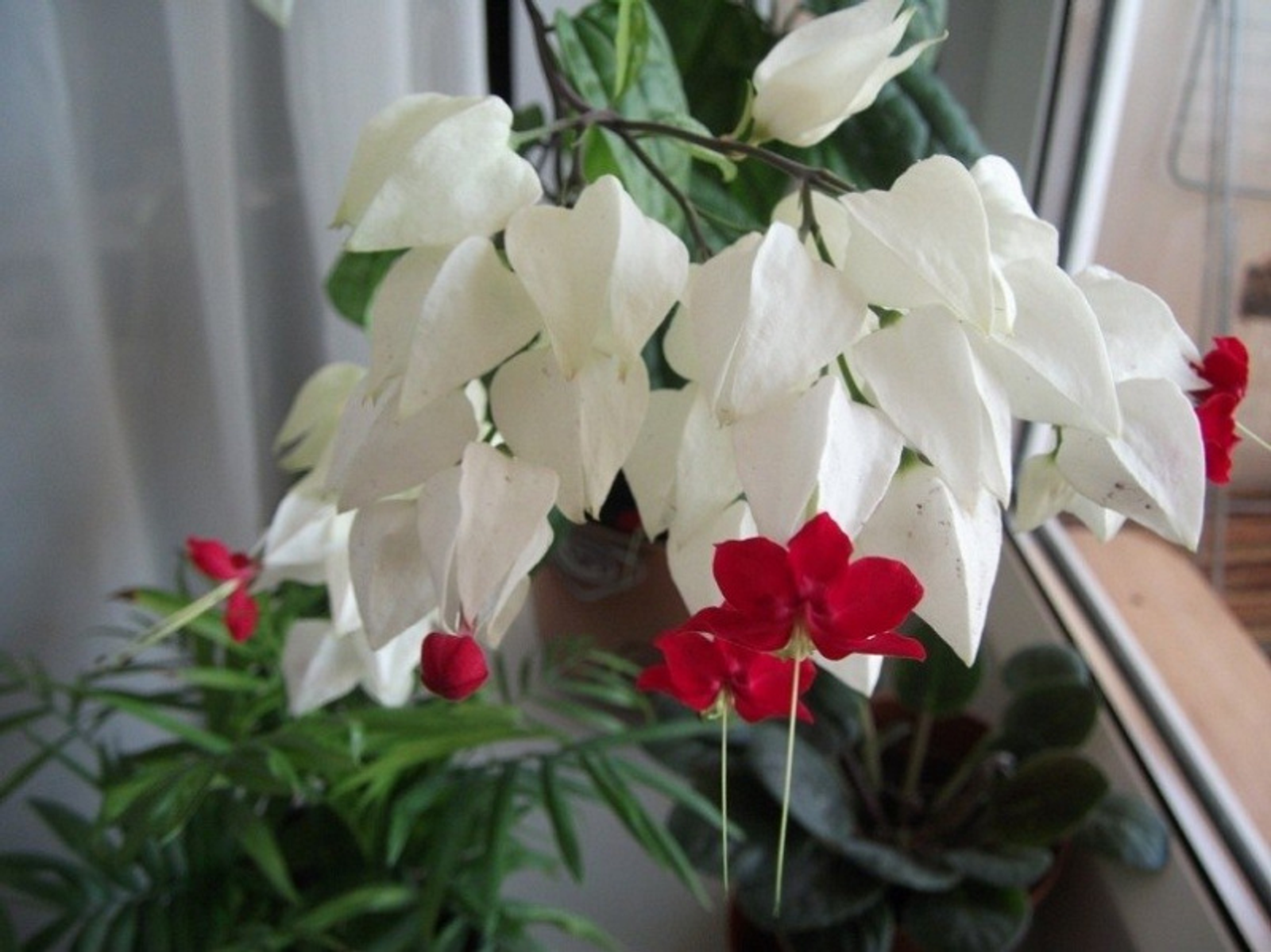 Фото Васили Саитовой.