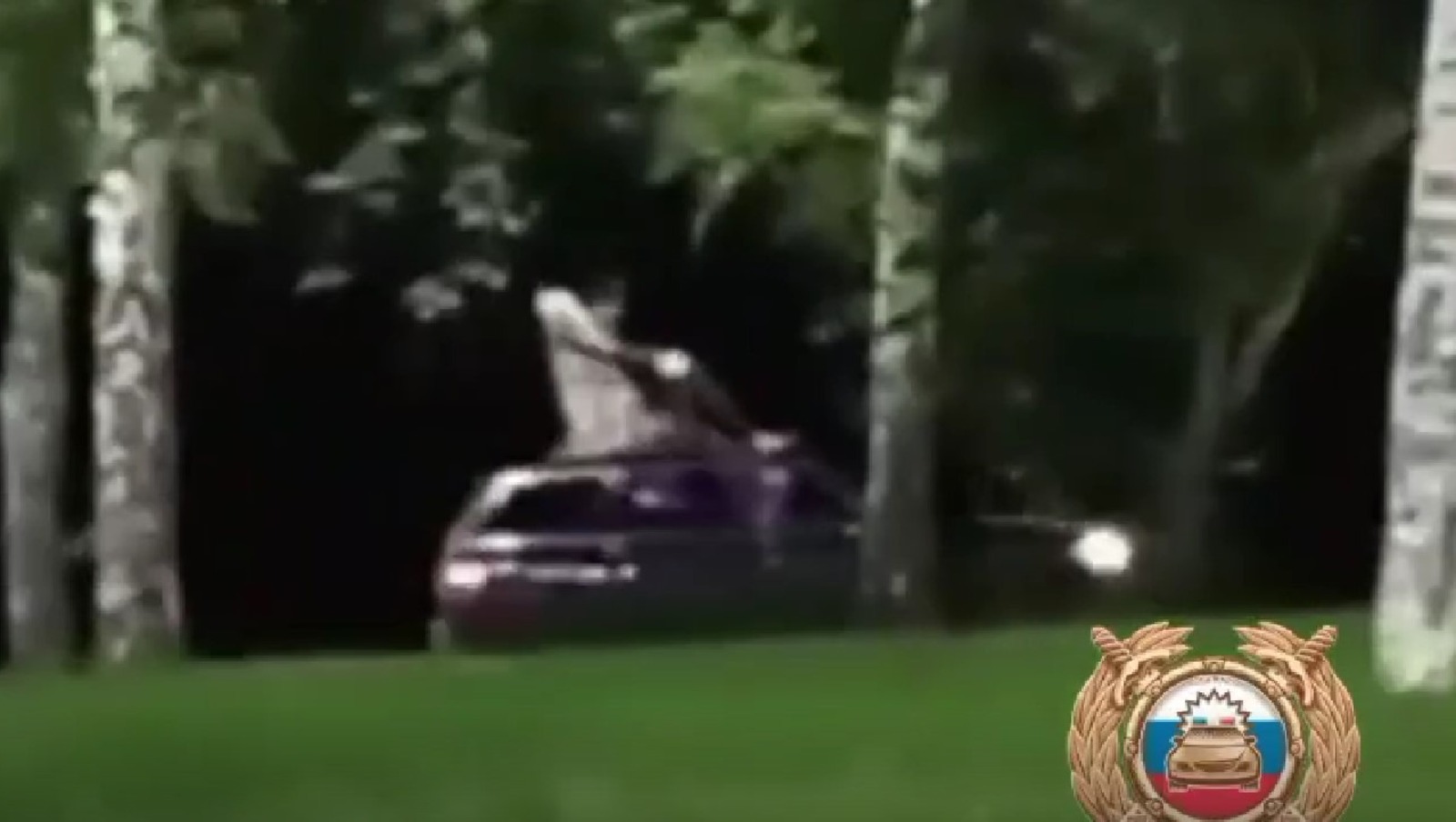 Teiegram, личная страница Владимира Севастьянова, скрин видео.