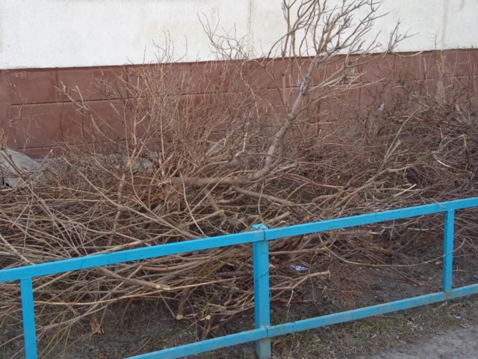 Фото Евгении Сюткиной.