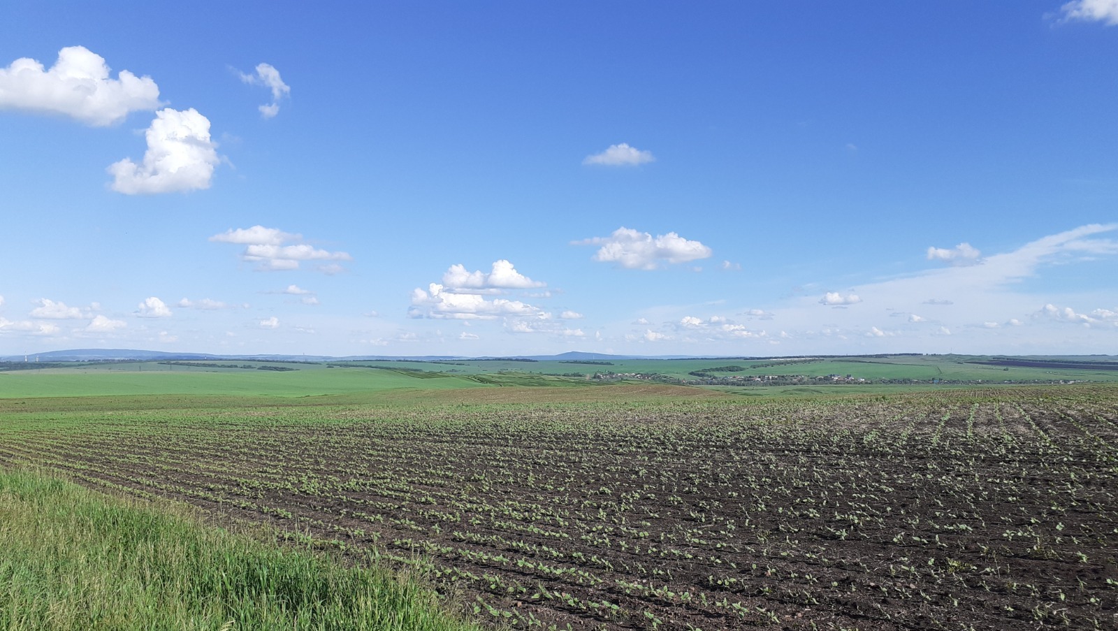 Владимира Шакиева.