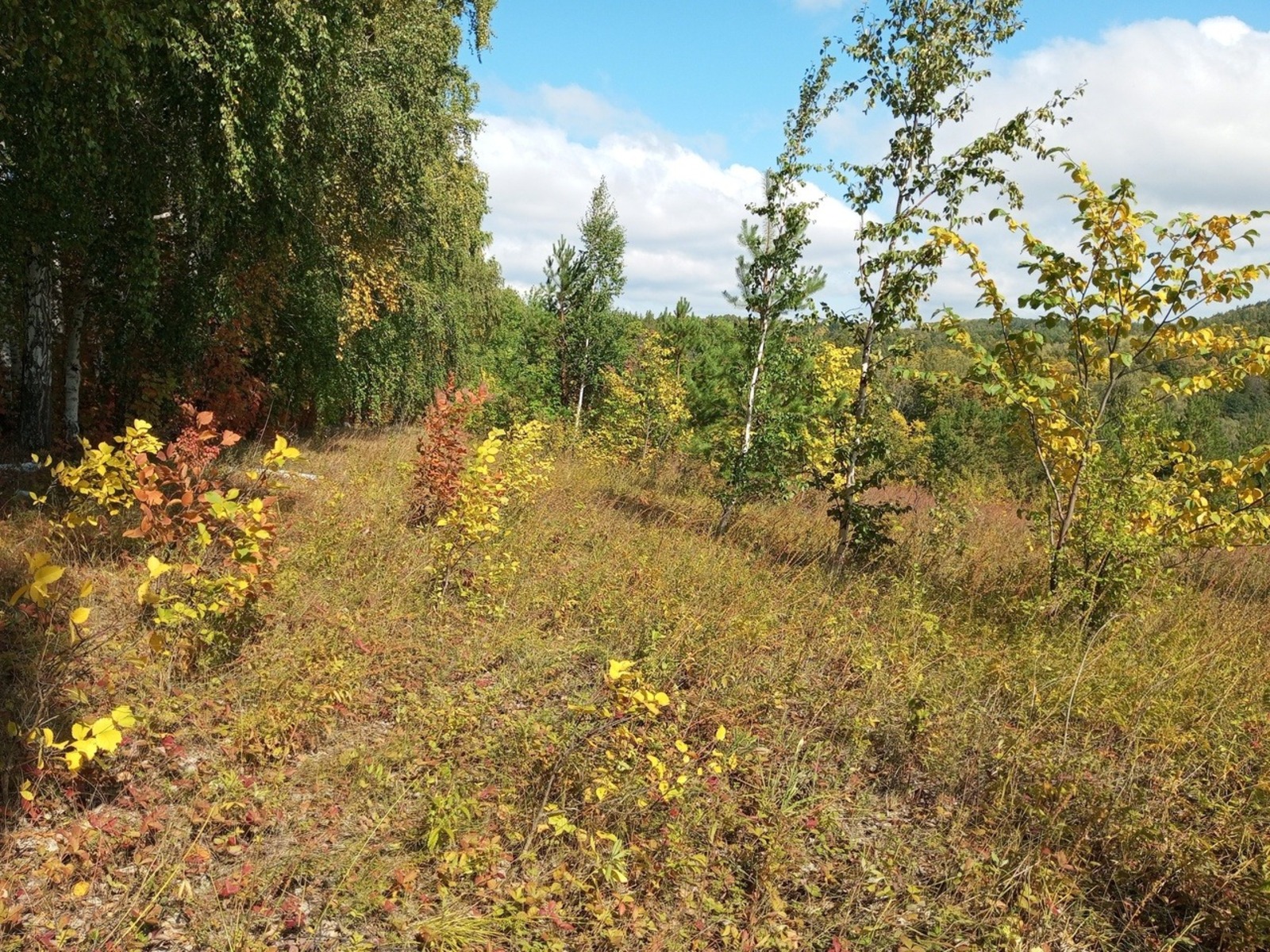 Евгении Сюткиной.