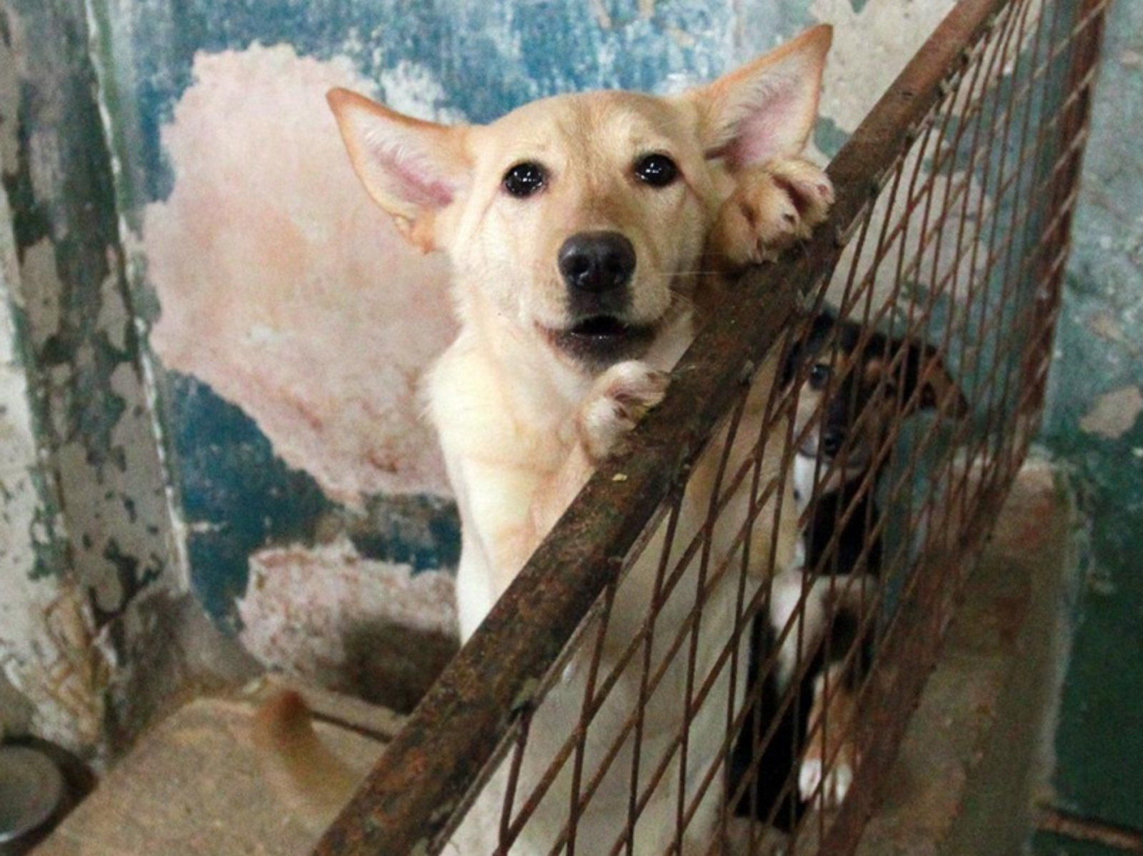 Фото Олега Яровикова.