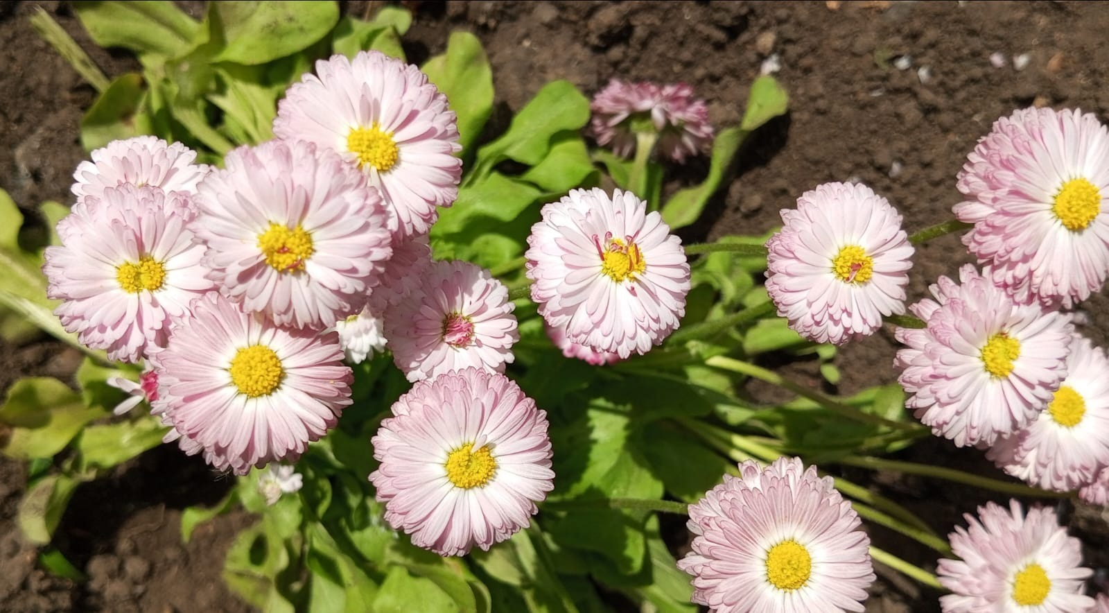 Евгении Сюткиной.